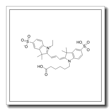 磺酸基-Cy3羧酸