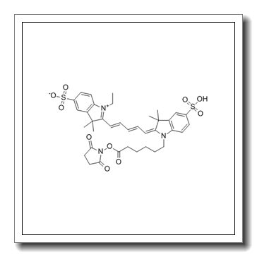 Cy5-succinimidyl ester CAS 146368-14-1