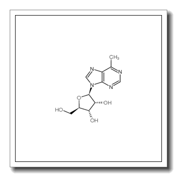 6-methylpurine riboside CAS 14675-48-0
