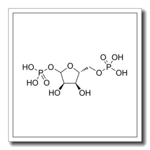 1,5-二磷酸-D-核酮糖