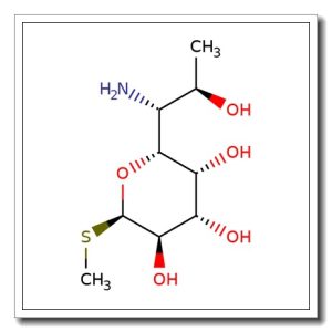 Methyl 1-thiolincosaminide