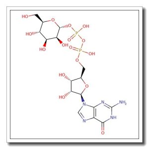 GDP-D-mannose disodium salt
