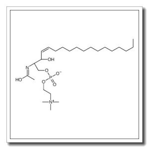[(E,2S,3R)-2-acetamido-3-hydroxyoctadec-4-enyl] 2-(trimethylazaniumyl)ethyl phosphate