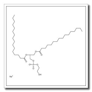 sodium,[(2R)-2,3-di(hexadecanoyloxy)propyl] 2-hydroxyethyl phosphate