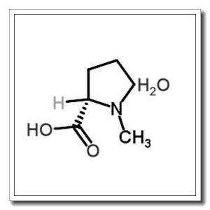 发酵丁醇