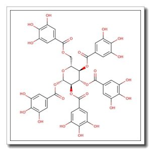Pentagalloylglucose – Bio-X ™