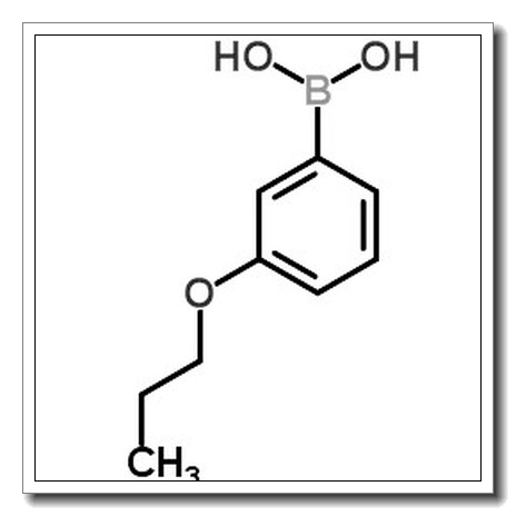 3-丙氧基苯基硼酸