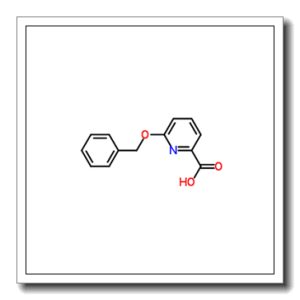 6-苄氧基吡啶-2-羧酸