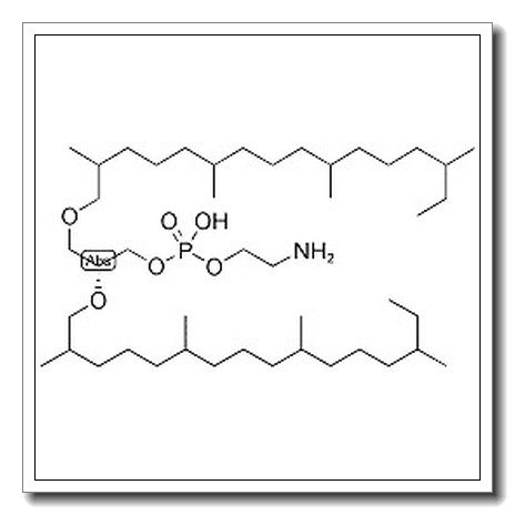 1,2-DI-O-PHYTANYL-SN-GLYCERO-3-PHOSPHOETHANOLAMINE;4ME 16:0 DIETHER PE