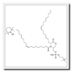 1,2-DIOLEOYL-SN-GLYCERO-3-PHOSPHO(TEMPO)CHOLINE;18:1 TEMPO PC
