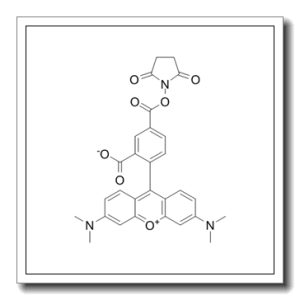 5-羧基四甲基罗丹明琥珀酰亚胺酯