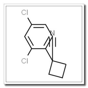 1-(2,4-二氯苯基)环丁烷甲腈