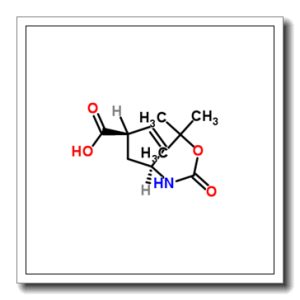 (1R,4S)-N-BOC-4-氨基环戊-2-烯甲酸