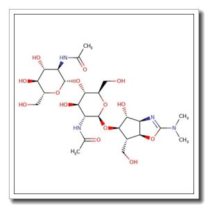 N,N’-Diacetylchitobiosyl allosamizoline
