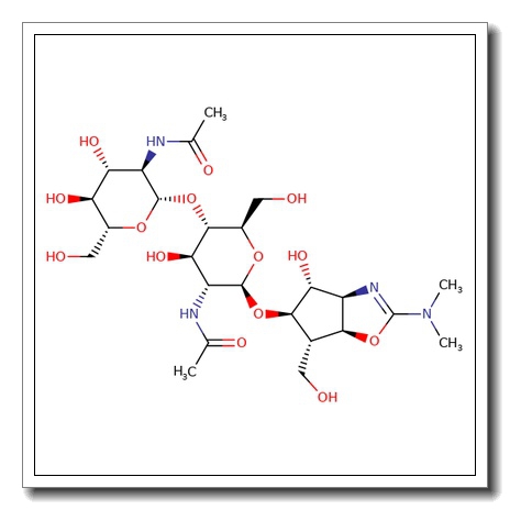 N,N’-Diacetylchitobiosyl allosamizoline