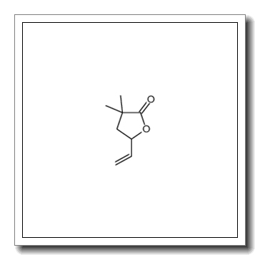 5-ethenyl-3,3-dimethyloxolan-2-one CAS 154033-18-8