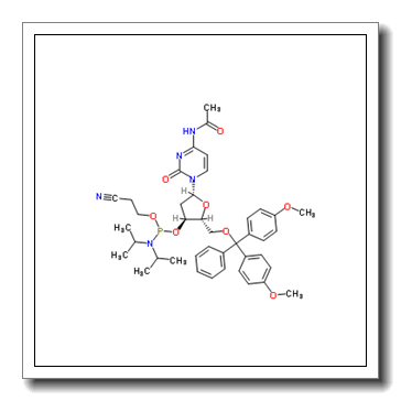 Ac-dC 亚磷酰胺单体