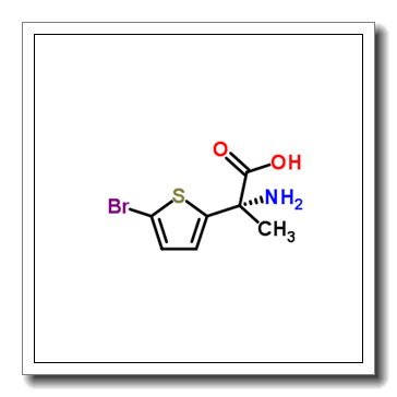 (S)-2-Amino-3-(5-bromothiophen-2-yl)propanoic acid CAS 154593-58-5