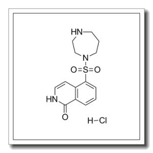 RHO-激酶抑制剂