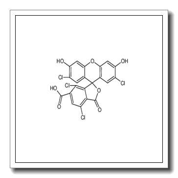 2',7'-dichloro-5(6)-carboxy-4,7-dichlorofluorescein CAS 155911-14-1