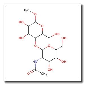 Methyl 4-O-(2-acetamido-2-deoxy-β-D-galactopyranosyl)-β-D-galactopyranoside