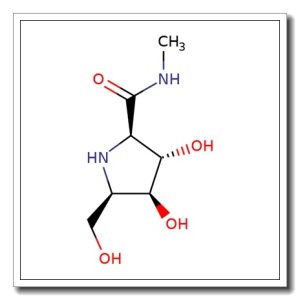 (2R, 3S, 4S, 5R) -3, 4-Dihydroxy- 5- (hydroxymethyl) – N- methyl-2- pyrrolidinecarboxami de