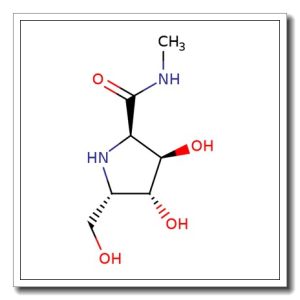 (2R, 3R, 4R, 5S) -3, 4- Dihydroxy- 5- (hydroxymethyl) – N- methyl-2- pyrrolidinecarboxami de