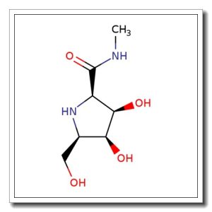 (2R, 3R, 4S, 5R) -3, 4- Dihydroxy- 5- (hydroxymethyl) – N- methyl-2- pyrrolidinecarboxami de