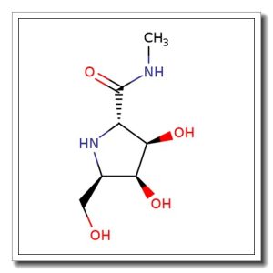 (2S, 3R, 4S, 5R) -3, 4- Dihydroxy- 5- (hydroxymethyl) – N- methyl-2- pyrrolidinecarboxami de