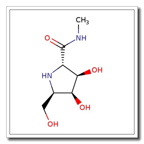 (2S, 3R, 4S, 5R) -3, 4- Dihydroxy- 5- (hydroxymethyl) – N- methyl-2- pyrrolidinecarboxami de
