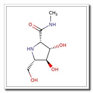 (2S, 3S, 4S, 5S) -3, 4- Dihydroxy- 5- (hydroxymethyl) – N- methyl- 2- pyrrolidinecarboxami de