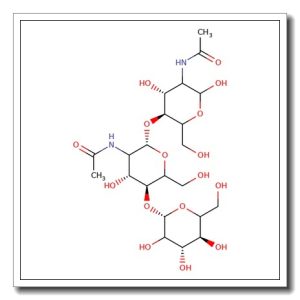 Man-1 N-Glycan