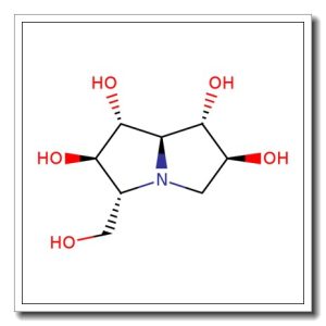 (+)-Casuarine