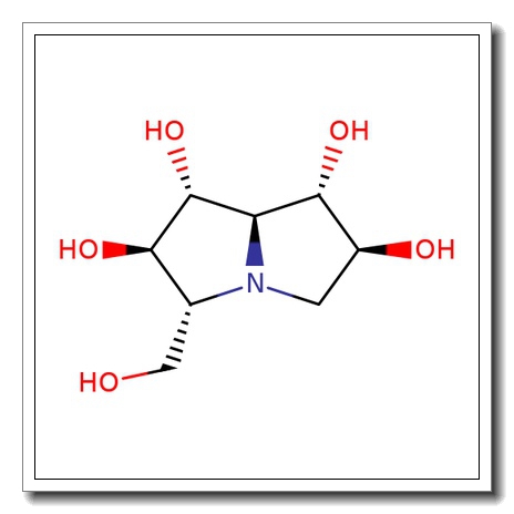 (+)-Casuarine