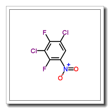2,4-二氟-3,5-二氯硝基苯