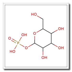α-D-Mannose 1-phosphate