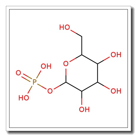α-D-Mannose 1-phosphate