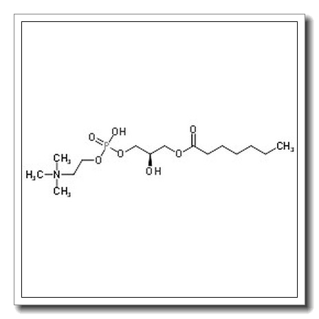 (2R)-3-(Heptanoyloxy)-2-hydroxypropyl 2-(trimethylammonio)ethyl phosphate