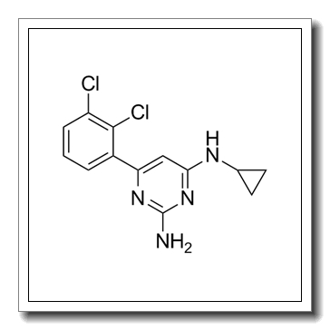 N4-Cyclopropyl-6-(2,3-dichlorophenyl)-2,4-pyrimidinediamine CAS 1609960-31-7
