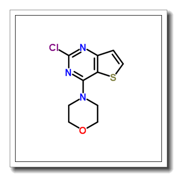 4-(2-chlorothieno[3,2-d]pyrimidin-4-yl)morpholine CAS 16234-15-4