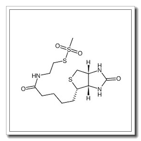 N-Biotinylaminoethyl Methanethiosulfonate