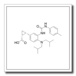 IDO-IN-4