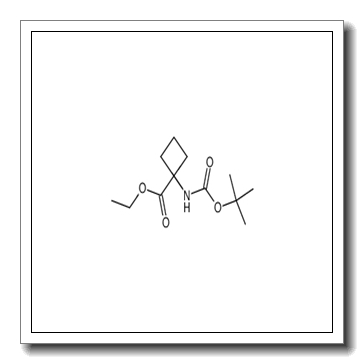 ethyl 1-[(tert-butoxycarbonyl)amino]cyclobutanecarboxylate CAS 163554-54-9