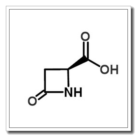 (2S)-4-oxoazetidine-2-carboxylic acid CAS 16404-94-7 