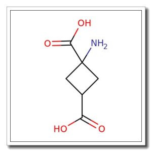 2,4-Methanoglutamic acid
