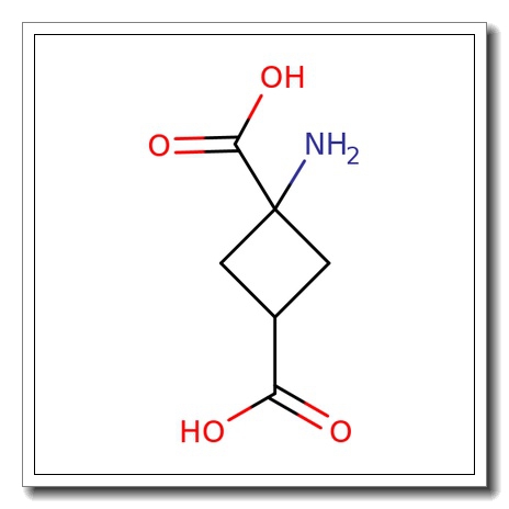 2,4-Methanoglutamic acid