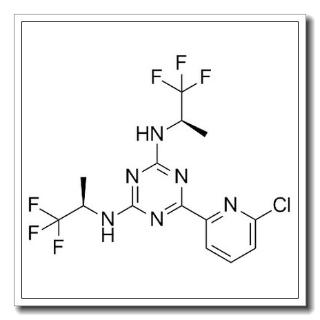 Vorasidenib
