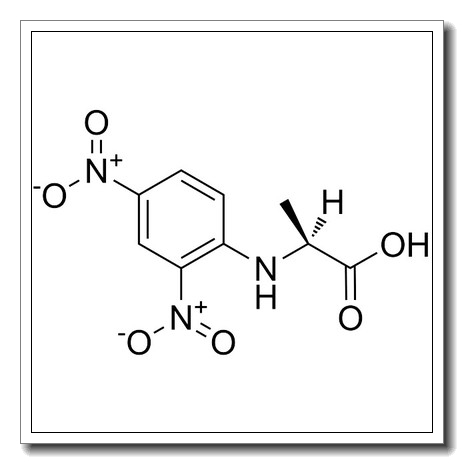 N-(2,4-二硝基苯)-L-丙氨酸