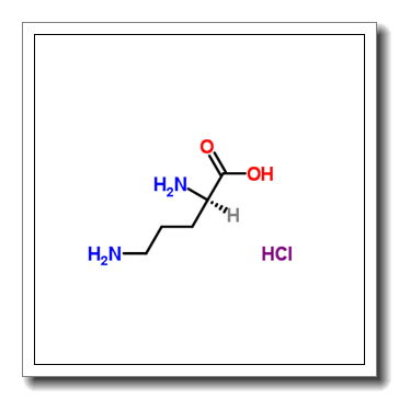 D-Ornithine monohydrochloride CAS 16682-12-5