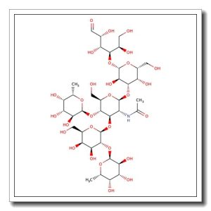Lacto-N-difucohexaose I